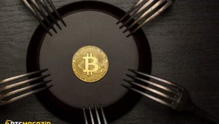 Bitcoin Forkları ve Çeşitleri