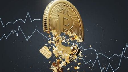 Bitcoin ve Regülasyonların Etkisi